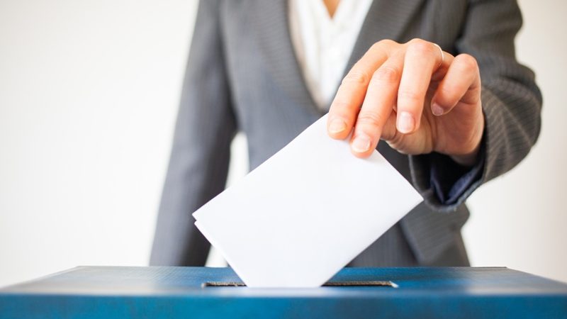 Regionali 2025, Veneto al voto: tutto quello che c'è da sapere