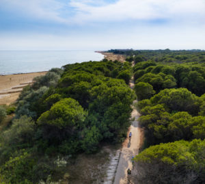 Google Maps arriva in Italia con la modalità Bike