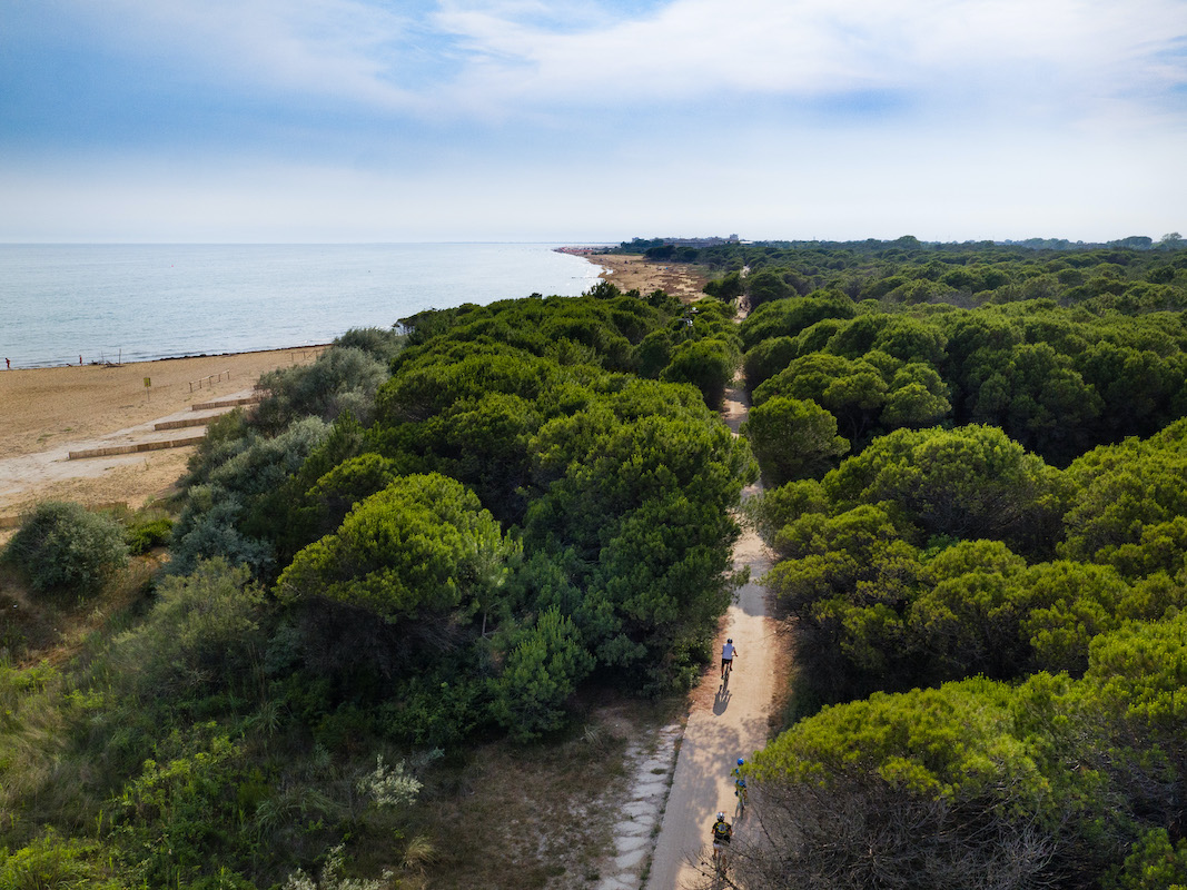 Google Maps arriva in Italia con la modalità Bike - Metropolitano.it