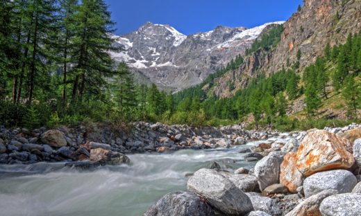 Ambiente: tre Parchi italiani entrano nella Green List mondiale