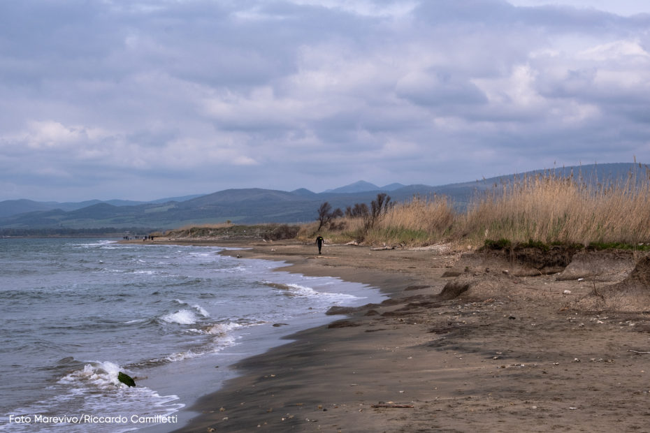 Spiaggia di Torre Flavia @ Riccardo Camilletti