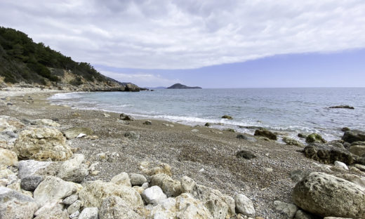 Adotta una spiaggia. La campagna di Marevivo per la tutela dell'ecosistema marino