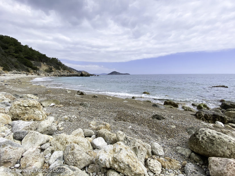 Adotta una spiaggia. La campagna di Marevivo per la tutela dell'ecosistema marino