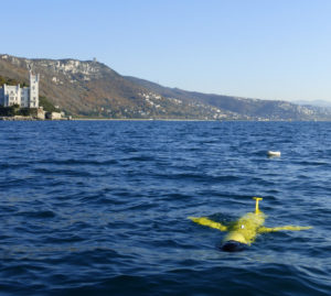 Ambiente: l’ecosistema si rigenera dove il mare sprofonda
