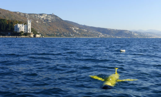 Ambiente: l’ecosistema si rigenera dove il mare sprofonda