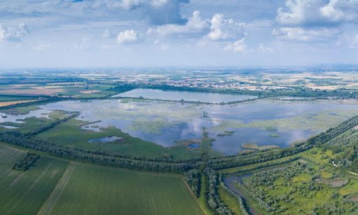 Il Po finisce nel Pnrr: il progetto per tutelare le biodiversità