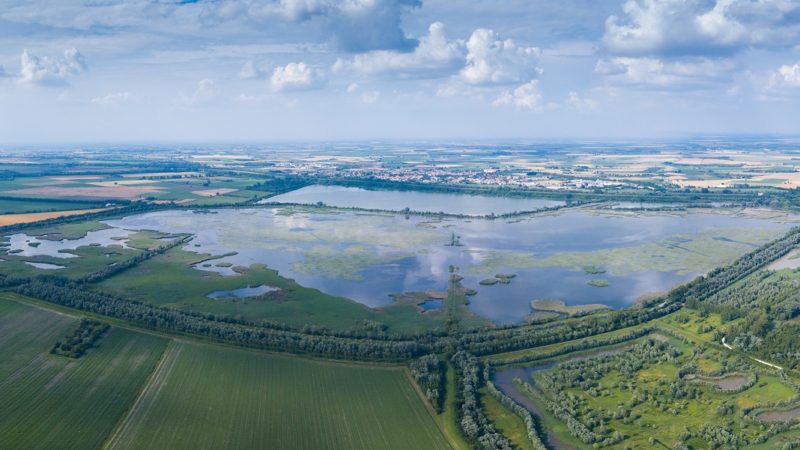 Il Po finisce nel Pnrr: il progetto per tutelare le biodiversità