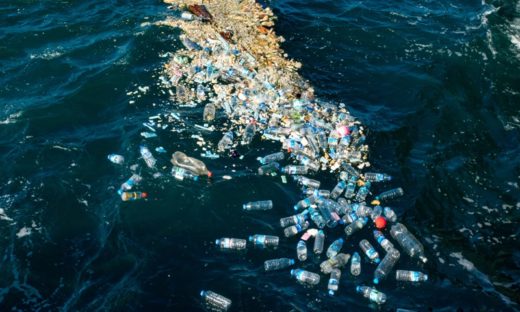 Plastiche: come un cestino galleggiante può contribuire all'economia circolare