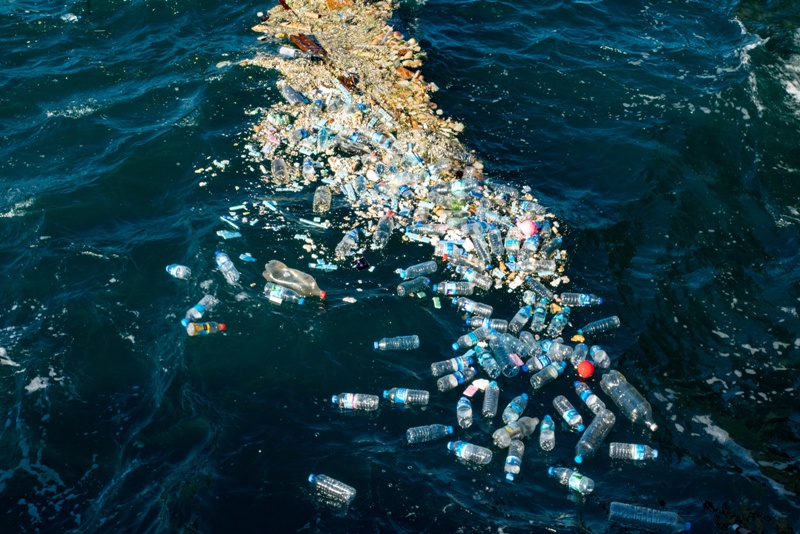 Plastiche: come un cestino galleggiante può contribuire all'economia circolare