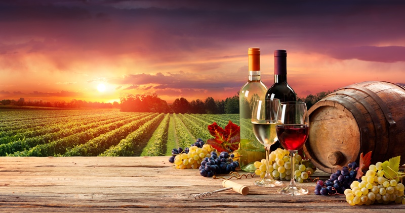 Vino senza alcool? L'Europa ci prova