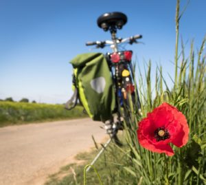 Il Veneto punta sulle biciclette: ciclovie di terra e di acqua