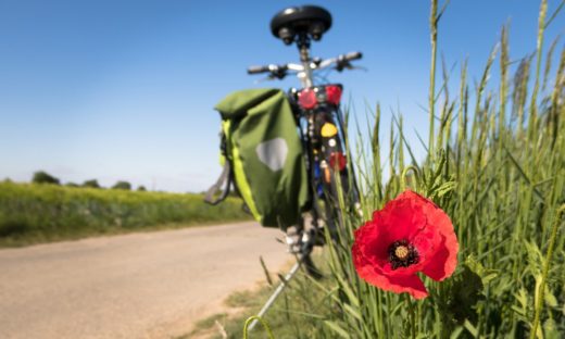 Il Veneto punta sulle biciclette: ciclovie di terra e di acqua