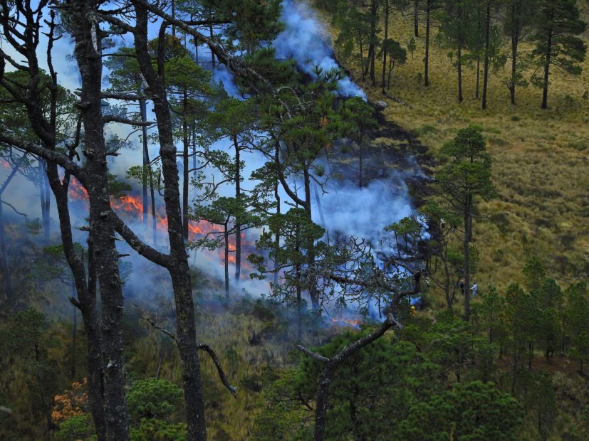 Incendi boschivi: l’UE prepara la flotta per contrastare l’emergenza