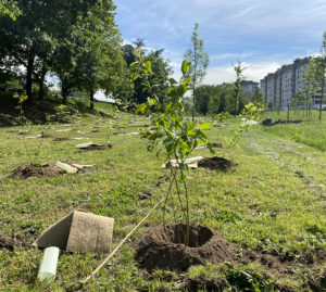"Forestami": il progetto green dell'area metropolitana di Milano