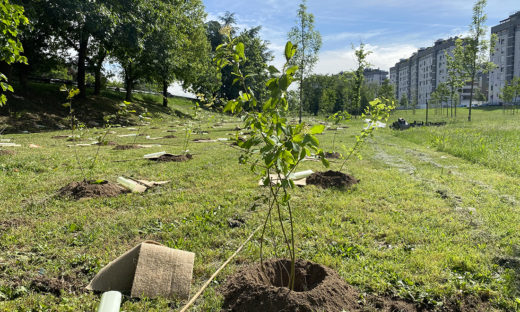 "Forestami": il progetto green dell'area metropolitana di Milano