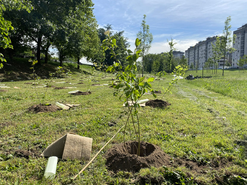 "Forestami": il progetto green dell'area metropolitana di Milano