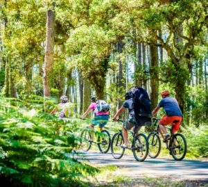 In bicicletta, da Trieste alla Puglia: la ciclovia Adriatica