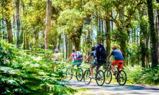 In bicicletta, da Trieste alla Puglia: la ciclovia Adriatica