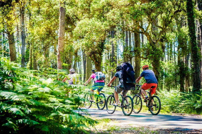 In bicicletta, da Trieste alla Puglia: la ciclovia Adriatica