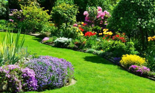 L'Italia di fiori e colori.