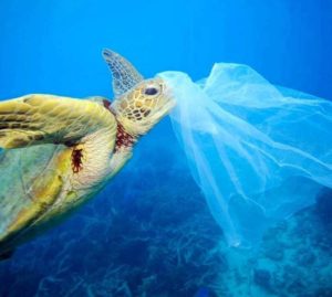 Inquinamento da plastica: arriva l’accordo mondiale per lo stop