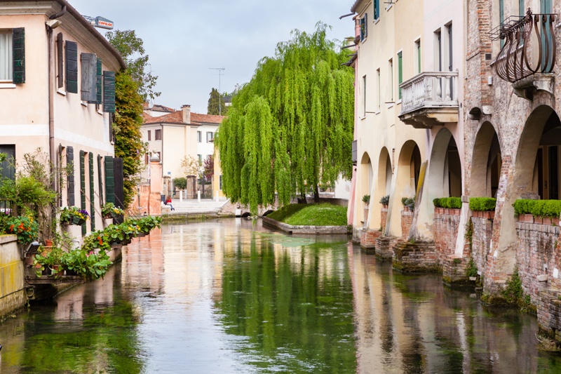Treviso è tra le finaliste del premio “Foglia Verde Europea 2022”