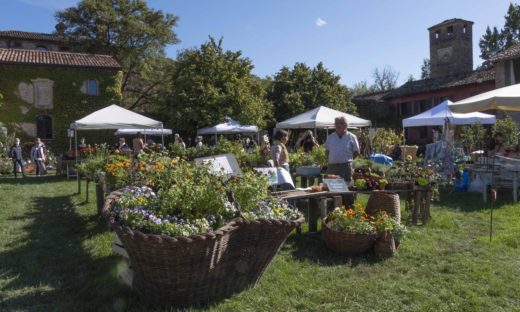 Saperi e sapori al Castello di Paderna, in Emilia Romagna