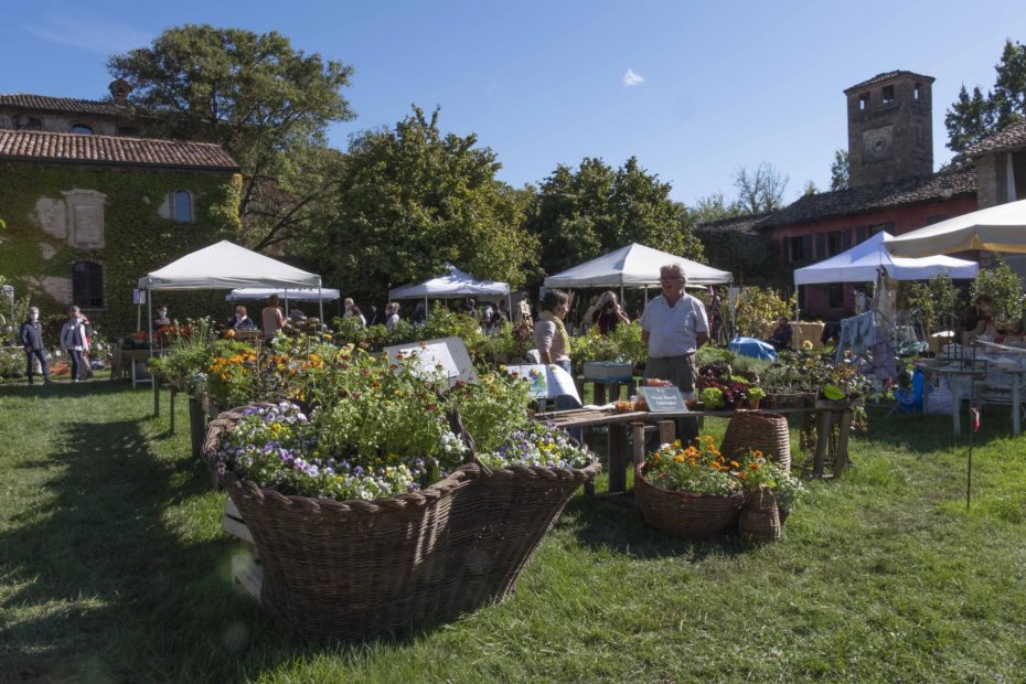 Saperi e sapori al Castello di Paderna, in Emilia Romagna