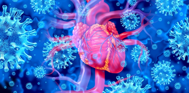 Il cuore e i vaccini: lo studio su miocardite e pericardite