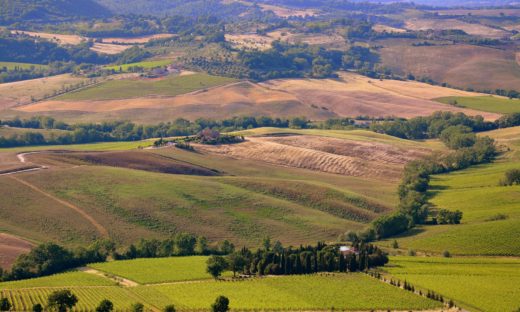 G20 dell’Agricoltura: il summit arriva a Firenze