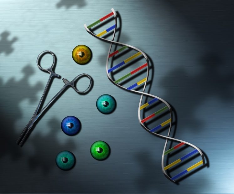 Covid 19: scoperto come agisce il gene che fa la differenza nei resistors