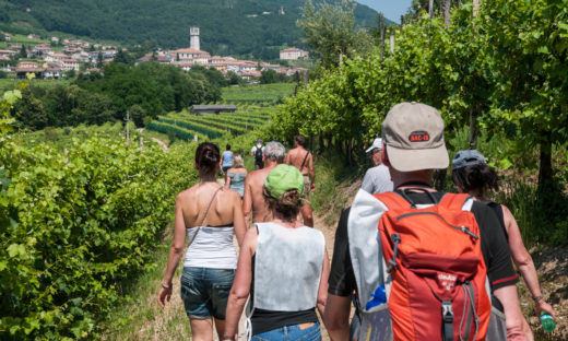 Tra le vigne e i paesaggi veneti: BB&T e Strada del Prosecco