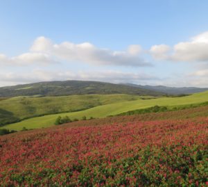 Sulle terre degli Etruschi: a piedi o in bicicletta da Volterra a Chiusi