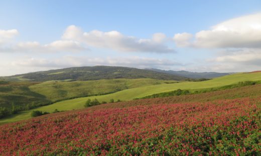 Sulle terre degli Etruschi: a piedi o in bicicletta da Volterra a Chiusi