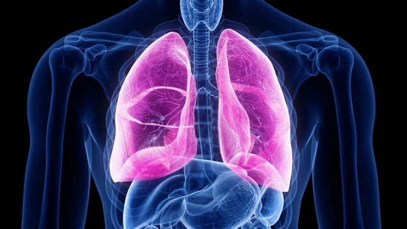 Fibrosi cistica: arriva una svolta dalle particelle "primordiali"