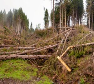 Legambiente: in Italia gli eventi climatici estremi aumentati del 17,2%