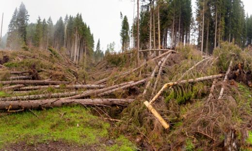 Legambiente: in Italia gli eventi climatici estremi aumentati del 17,2%