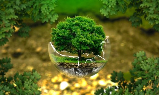 COP26 sul clima: raggiunto l’accordo contro la deforestazione