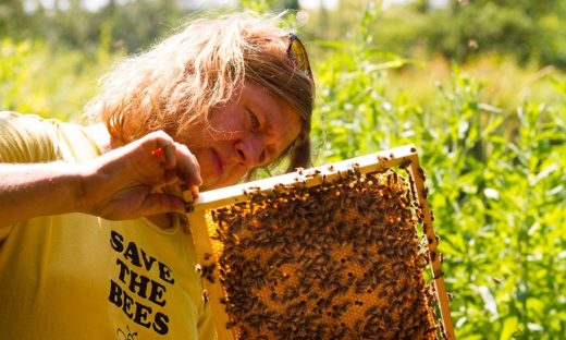 Estinzione: sempre più animali a rischio sul nostro Pianeta