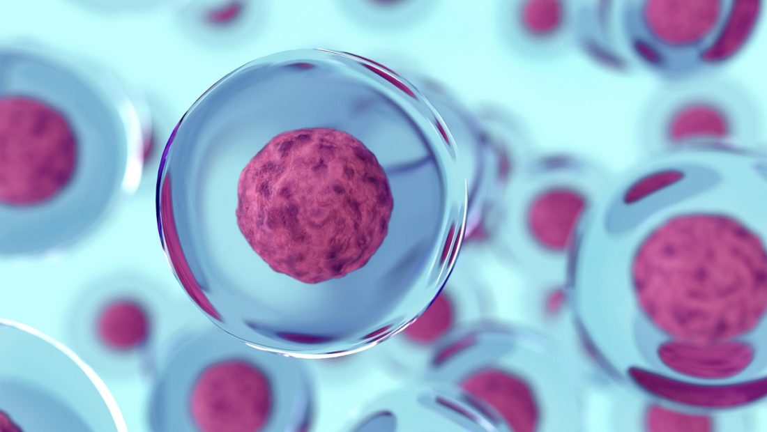 Una “mascherina” per le cellule contro tutte le varianti
