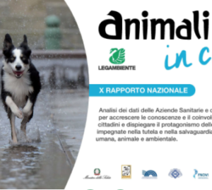 Animali: dove vivono meglio in Italia? I comuni premiati