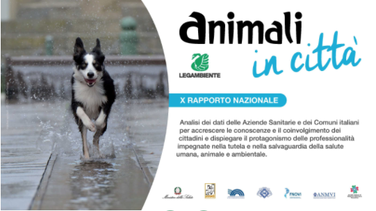 Animali: dove vivono meglio in Italia? I comuni premiati