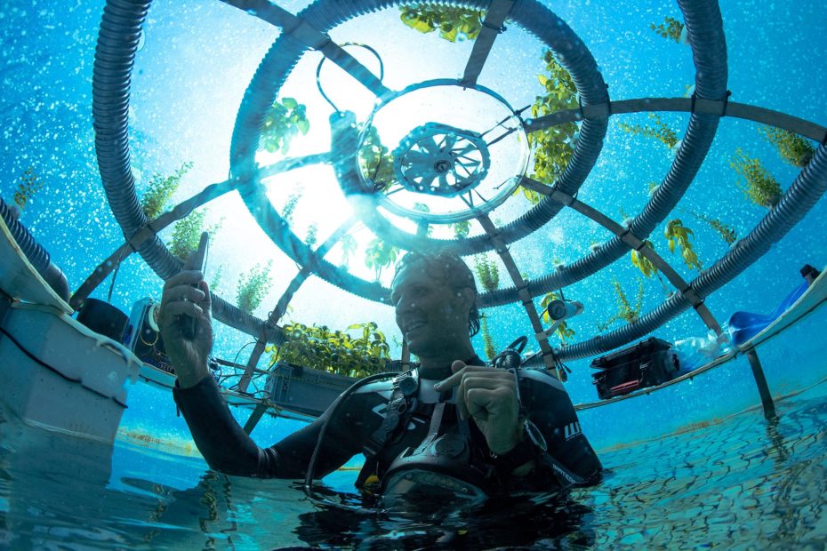 Si trova in Liguria il primo orto subacqueo al mondo