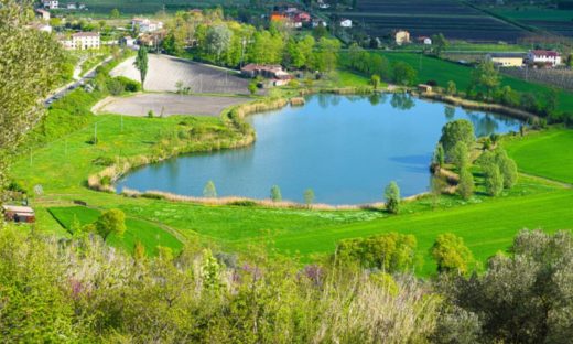 I Colli Euganei candidati a Riserva della Biosfera Mab Unesco