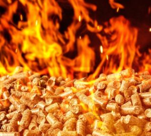 Caldaia a Pellet o Pompa di Calore: quale scegliere?