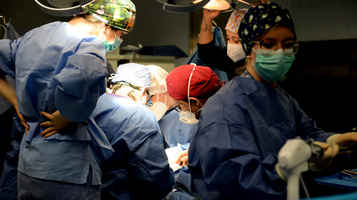 Trapianti: un cuore, tre vite