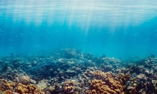 Spiagge italiane: le biocostruzioni dei piccoli “architetti marini”