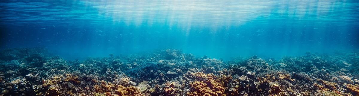 Spiagge italiane: le biocostruzioni dei piccoli “architetti marini”