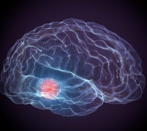 Memoria e Alzheimer: il “segreto” in una proteina