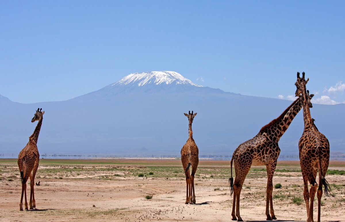 Cambiamento climatico: dal doodle di Google alle pratiche virtuose